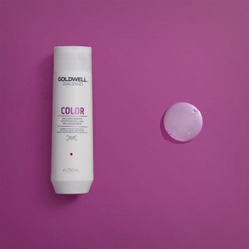 Goldwell Dualsenses Color Brilliance Shampoo - šampon za tanku i normalnu kosu 250ml