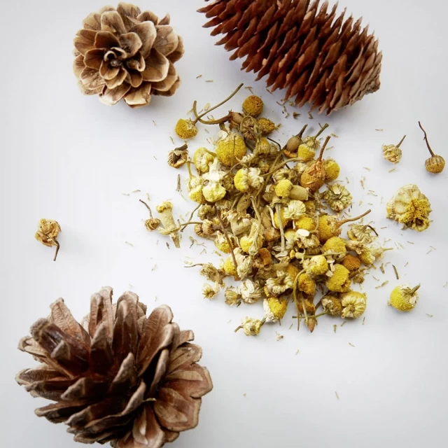 American Crew 3-IN-1 Relaxing (Kamilica + Bor) - Šampon, kondicioner i losion - Akcijska ponuda meseca