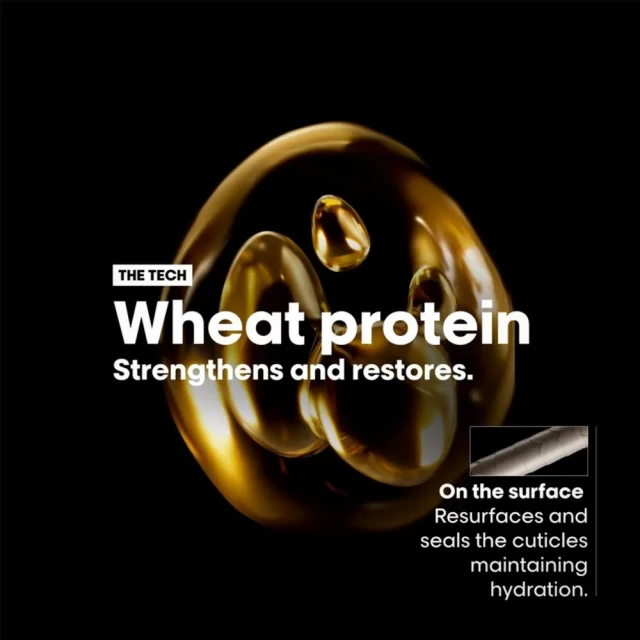 L`Oréal Professionnel SE Absolut Repair maska za kosu 250ml - Proteinske maske za kosu