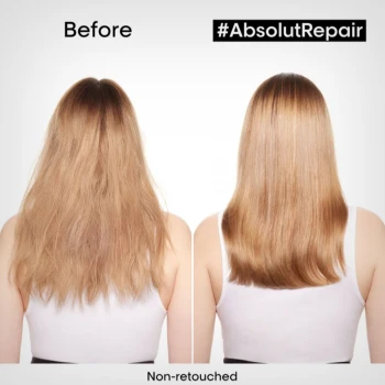 L`Oréal Professionnel SE Absolut Repair Golden Protein + Omega 9 maska za kosu 250ml