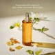 Moroccanoil Dry Body Oil – instant nourishment 100ml - Dostava-kat