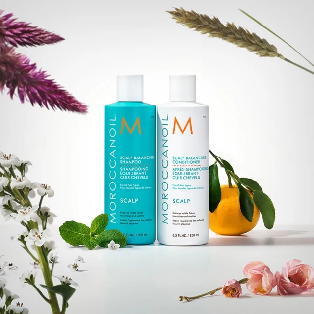 Moroccanoil Scalp Balancing kondicioner za balans skalpa 250ml - Dostava-kat