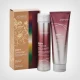 JOICO Defy Damage Protective Christmas Set - za jačanje kose i postojanost boje - Nega farbane kose